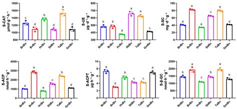Effects of Different Crop Rotations on Microbial Diversity and Enzyme ...