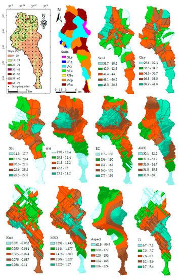 Terrain Effects on the Spatial Variability of Soil Physical and ...