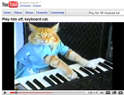 Image result for Keyboard Cat Meme