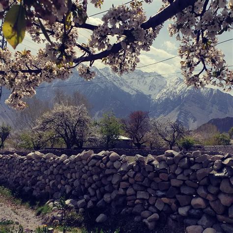 CATHEDRAL VIEW GUEST HOUSE & RESTAURANT PASSU (Pasu) - Hostel Reviews ...