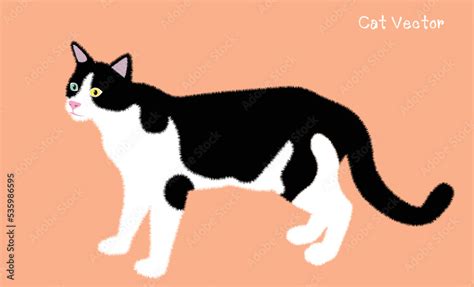 Cat Cartoon Basic 的图像结果
