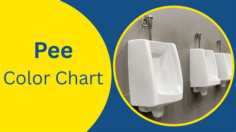 Understanding the Pee Color Chart - Zorg Health