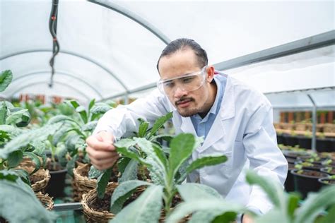 Agriculture Scientist 的图像结果