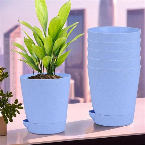 Heart Home Pack of 6 Flower Pot | Flower Pot for Living Room-Office ...