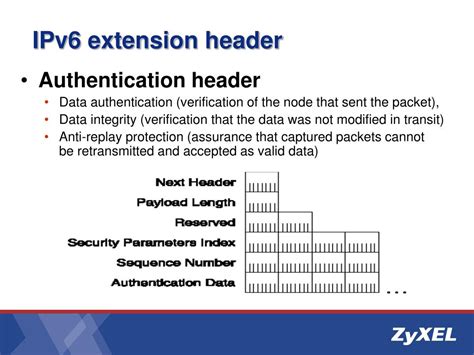 IPv6 Extension Header 的图像结果