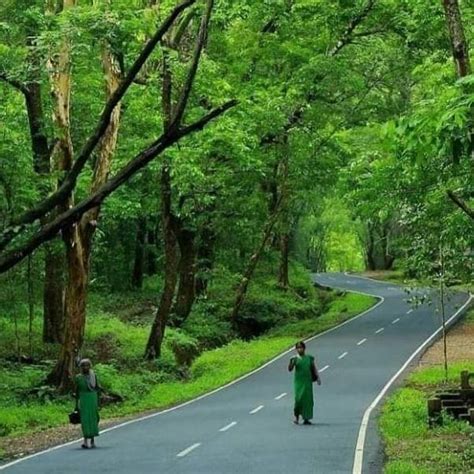 Papikondalu Tour Packages | Call: 9912636642