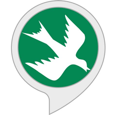 Amazon.in: Rain Bird : Alexa Skills