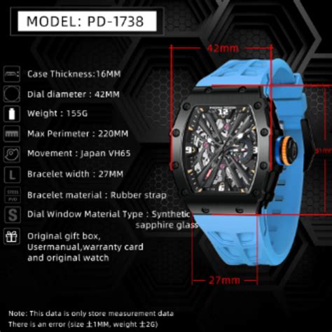 PAGANI DESIGN PD-1738 Waterproof Stainless Steel Skeleton Wristwatch S ...