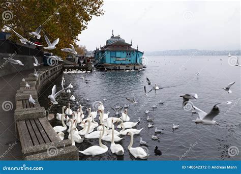 Herzbaracke Cabaret-theatre in Zurich Switzerland Editorial Photography ...