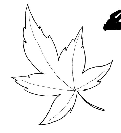 Image result for Maple Vector Plot