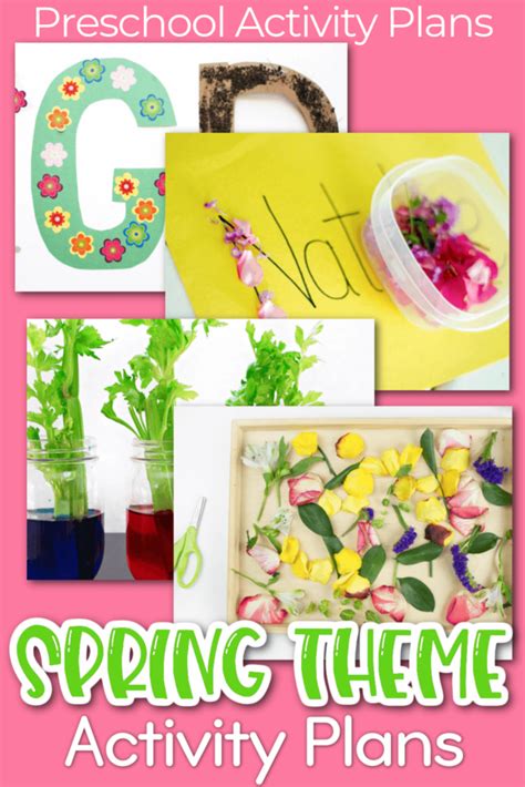 Click Spring Plans 的图像结果