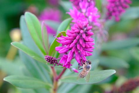 Are One-Take Movies Really Filmed in One Shot? Let's find out