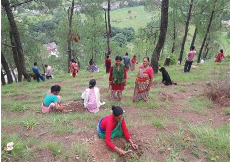 Eco-Restoration Models for Forest Rehabilitation – UTTARAKHAND FOREST RESOURCE MANAGEMENT PROJECT
