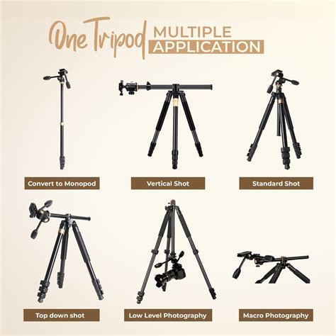 Digitek DTR 620 BH Camera Tripod | 20kg, 6ft & 3-Way Pan Head