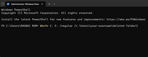 Recover Recycle Bin Deleted Files 的图像结果