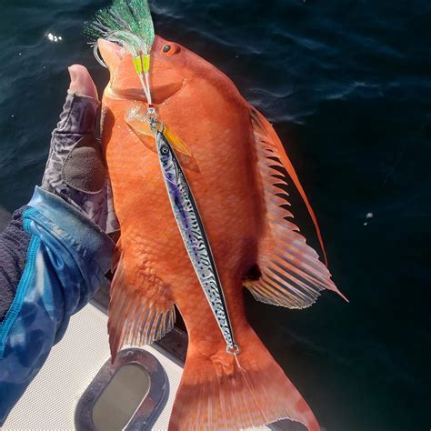 Buy Gefischtter Fishing Jigs Vertical Saltwater Jigs Metal Jigging Spoon Slow Jigging Pitching ...