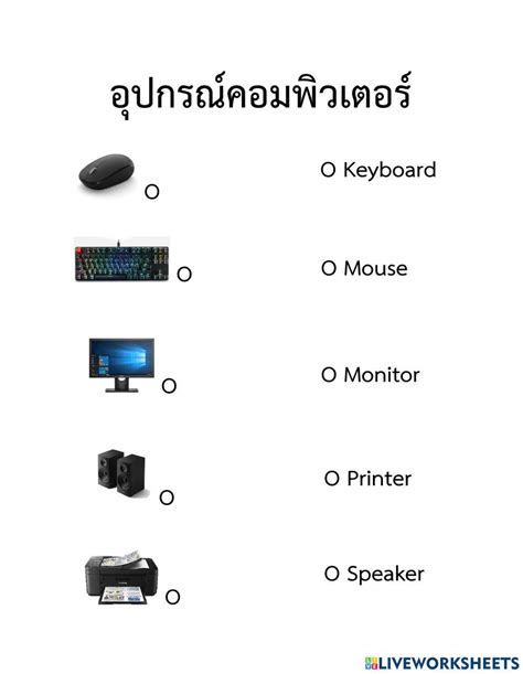 Computer Apps Worksheets 的图像结果