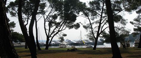 Brijuni National Park Tourism (2023): Best of Brijuni National Park ...