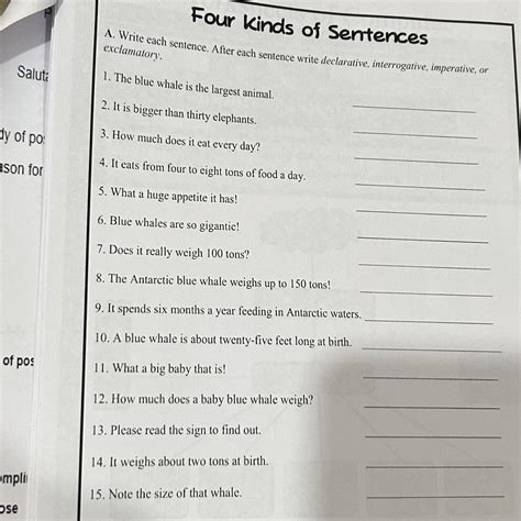 Four kinds of Sentences A. Write each sentence. After each sentence ...
