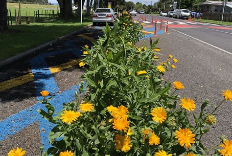 Projects - Stellar Projects