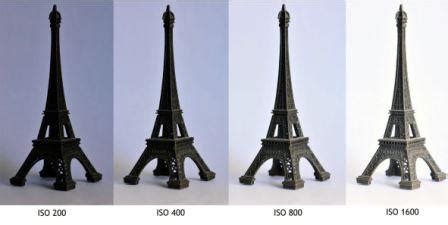 What Is Camera ISO 的图像结果