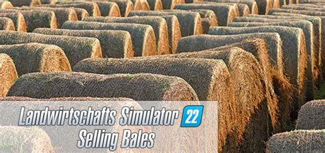 FS19 to FS22 Mod Converter 的图像结果