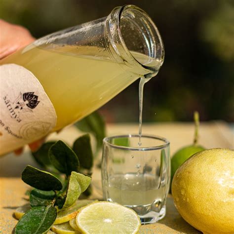 Ginger Lemon Squash by Sātmya – Brown Living™