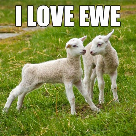 21 Funny Love Memes That Will Make You Smile or Laugh