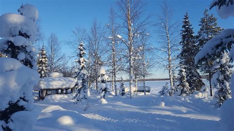 AURORA RETREAT (Robertsfors) - Campground Reviews & Photos - Tripadvisor