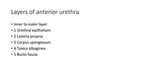 Urethral Stricture.pptx hfddty hghjju hgg | PPTX