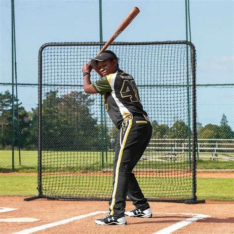 FORTRESS Regulation Baseball Screen | Net World Sports