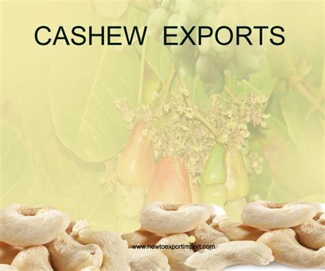 Cashew Export Promotion Council of India