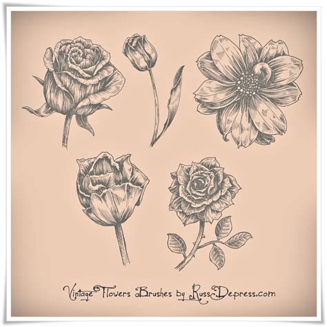 Vintage Flowers High Res Photoshop Brushes - Free ABR Download ...
