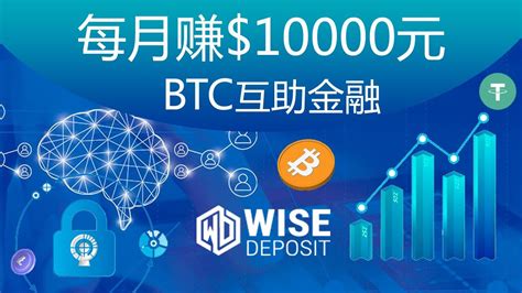 每月赚$10000元WISEDEPOSIT国际互助Bitcoin赚钱安卓苹果IOS/Android手机网络youtube赚钱#13 - YouTube