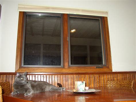 Image result for Window Inserts Benefits