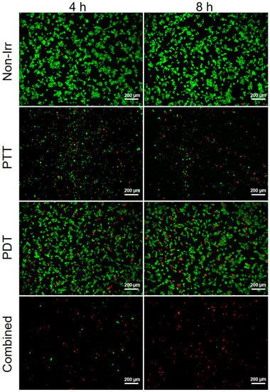 Pharmaceutics | Special Issue : Development of Novel Nanomedicines for ...