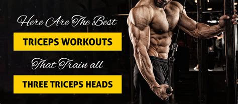 Here Are The Best Triceps Workouts That Train all Three Triceps Heads ...