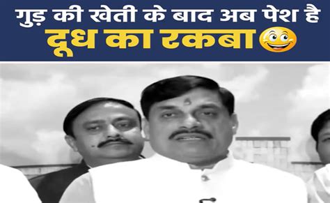 MP में गुड़ की खेती के बाद अब बढ़ेगा दूध उत्पादन का रकबा; कांग्रेस ने ...
