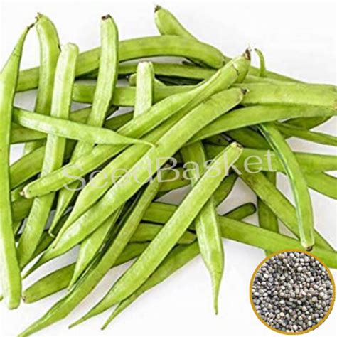 Buy Cluster Beans Seeds Online in India