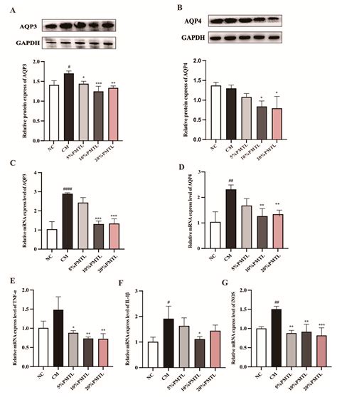 Consumption of Dietary Premna microphylla Turcz Leaf Alleviates ...