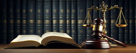 Family Courts Must Evaluate Oral Evidence in Light of Normal Human ...