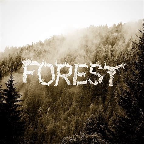 Hand Lettering Practice 的图像结果