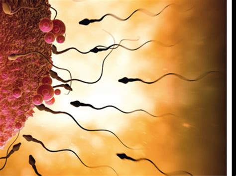 La Reproduction Humaine 的图像结果