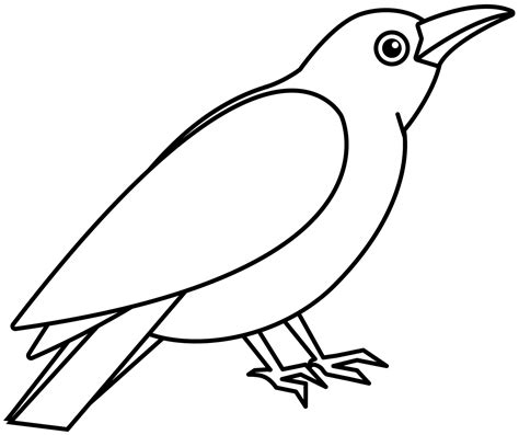 Image result for Crow Pattern-Free