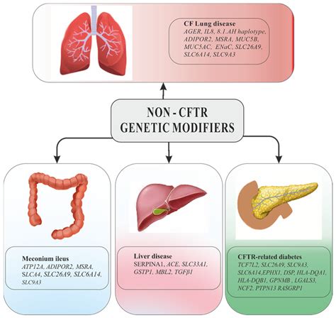 Genetic Modifying Factors of Cystic Fibrosis Phenotype: A Challenge for ...