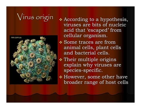 Image result for Viruses Explained