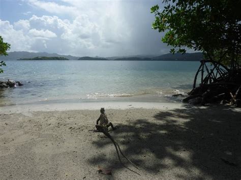 Kayaks du Robert (Le Robert) - 2022 What to Know Before You Go (with ...