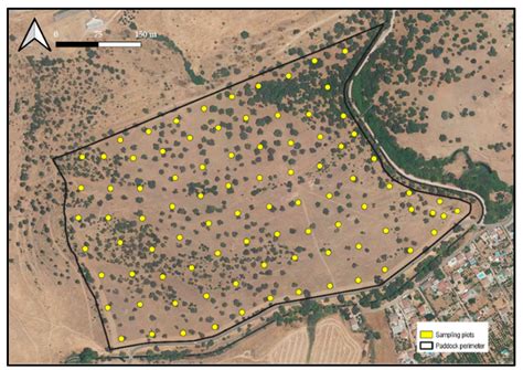GPS Tracking to Monitor the Spatiotemporal Dynamics of Cattle Behavior ...