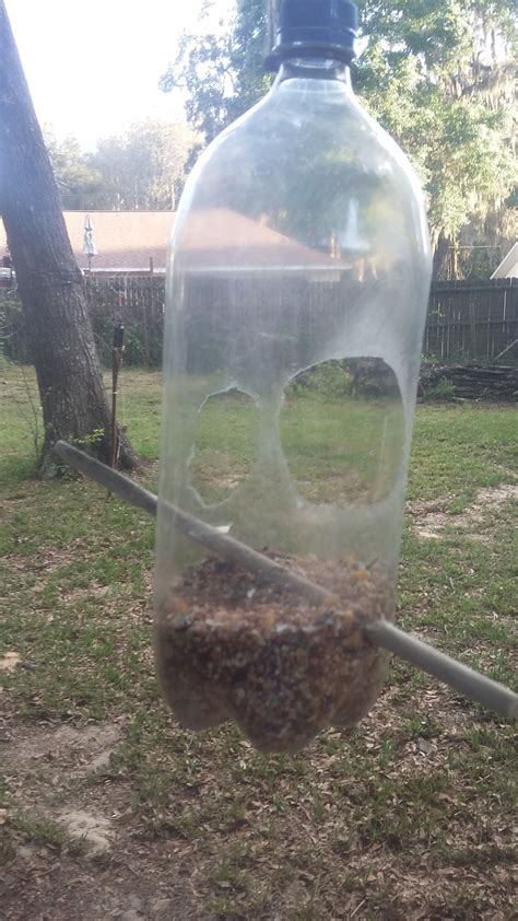 Super simple diy wasp trap – Artofit