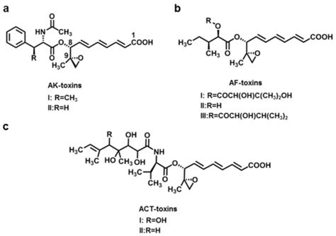 Recent Advances in Alternaria Phytotoxins: A Review of Their Occurrence ...